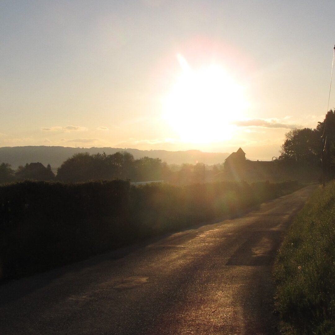 58654629_2644475542233776_8378667895193862144_n