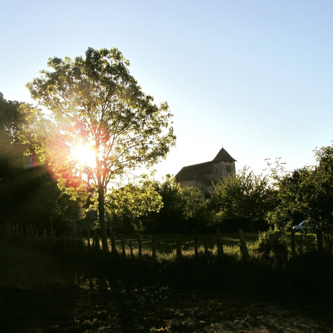 64598415_2736961856318477_7115740887883186176_n